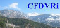 www.cfdvrinstitute.org